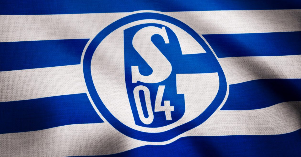 Schalke 04 - HSV Prognose