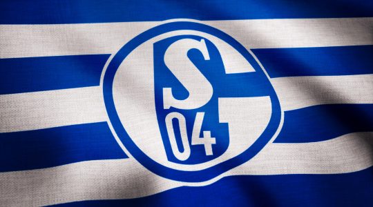 Schalke 04 - HSV Prognose