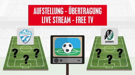 TSV Hartberg - SV Ried | Aufstellung